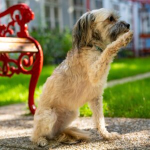 Eröffnung 08.06.2024