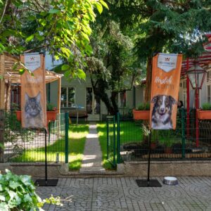 Eröffnung 08.06.2024