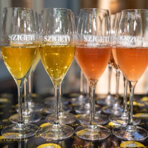 Eröffnung 08.06.2024