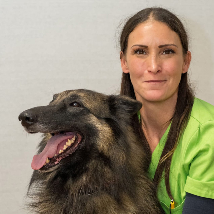 Mag. Dominique Stöger